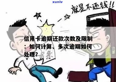 信用卡逾期账户数量限制：你最多可以有几个未还款账户？