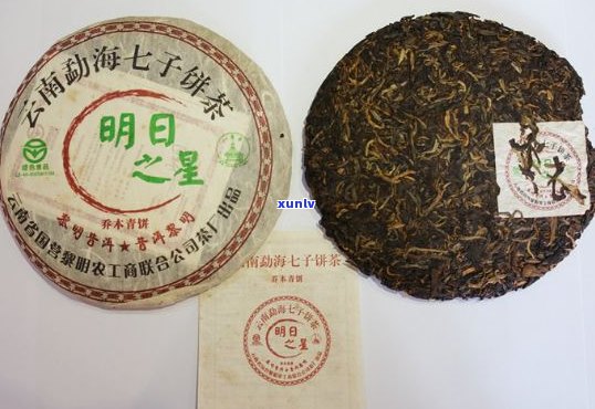 博友普洱茶2006明日之星：品种、品质、冲泡 *** 及品鉴技巧全面解析