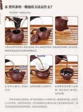 掌握普洱茶冲泡技巧与适量饮用指南：从选茶到品鉴全方位解析