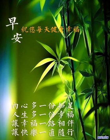 翡翠竹报平安寓意：翠竹的象征与传统祝福