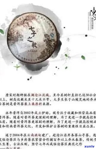 普洱世念茶：致敬历与传承文化的经典之作