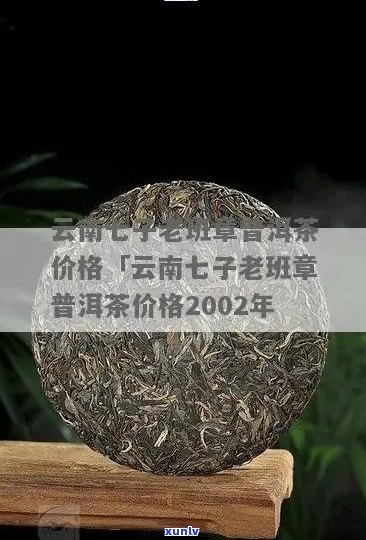 七子普洱茶的价格解析，以及购买建议和品鉴技巧