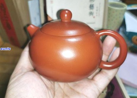 普洱茶泥料壶品质之争：哪种泥料更适合泡出好茶？