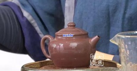 探究普洱茶的紫砂壶选择：泥料种类与品质的影响因素