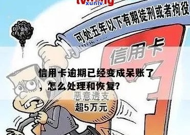 信用卡逾期导致的呆账问题：原因、影响与解决方案全面解析