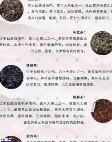 盘龙云海普洱茶：品鉴与选购指南，带你了解普洱茶的种类、功效与泡法