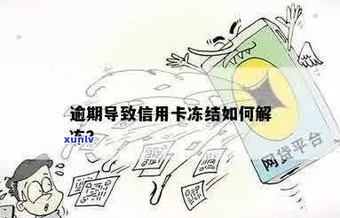 信用卡逾期后被冻结怎么办？解冻详细步骤及预防措一文解析