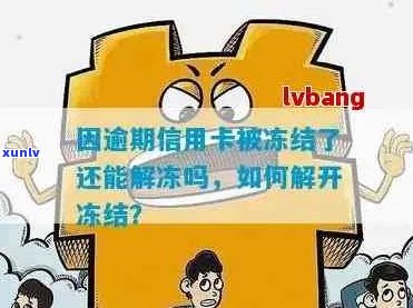 信用卡逾期后被冻结怎么办？解冻详细步骤及预防措一文解析