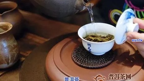 普洱茶泡法详解：从选择器具到冲泡技巧，让你轻松掌握泡茶 *** 