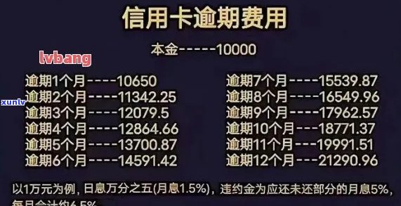 信用卡逾期如何记息还本金：计算与还款全攻略