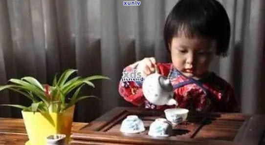 孩子可以喝普洱茶茶水吗？三岁小孩可以喝普洱茶吗？一天几次合适？