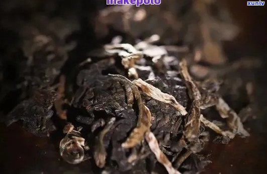 普洱茶：陈年品质更好？老茶与新茶的区别及口感对比分析