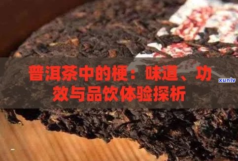 不小心吞了普洱茶梗