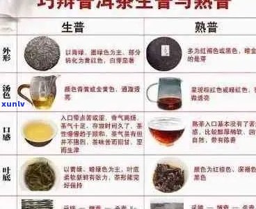 普洱茶醇和的全方位解析：品种、功效与泡法