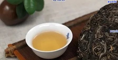 勐普洱茶的口感特点：醇厚、回、陈香，是其独特之处。