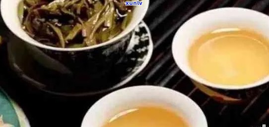 甲能否饮普洱茶？