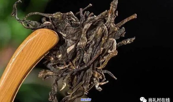 云南普洱茶中的六朵璀璨明珠：它们都是谁？