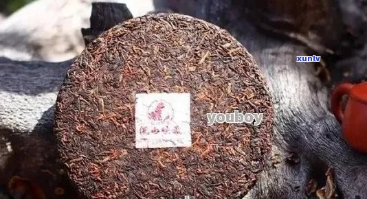 普洱熟茶的价格区间及影响分析：一盒普洱熟茶多少钱？