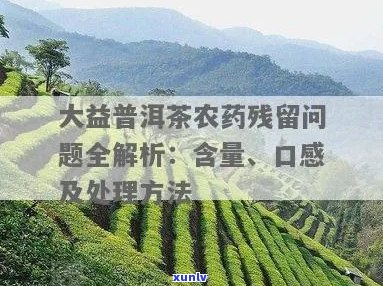 大益普洱茶打农药吗