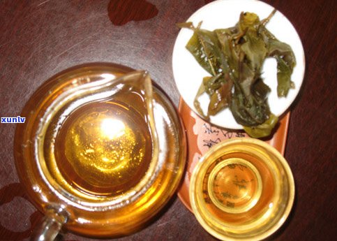 中国古树普洱茶青茶