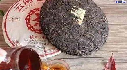 易武古普洱茶好喝吗？值得买吗？怎么样？功效是什么？