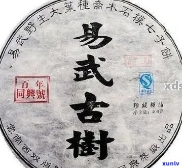 易武古普洱茶好喝吗