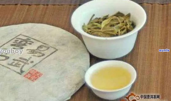 易武古普洱茶好喝吗