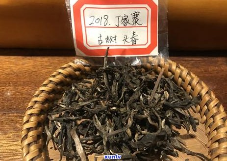 头春古树茶价格、品质和购买渠道全面解析