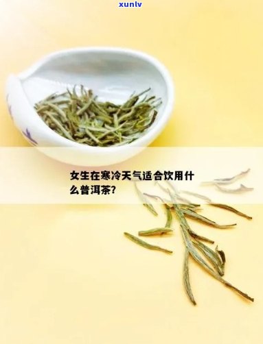 新寒气重的女生适合饮用什么茶叶？普洱茶是否为佳选？