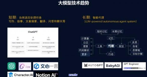 普洱茶高存放后保存期限探讨：关键因素与影响分析