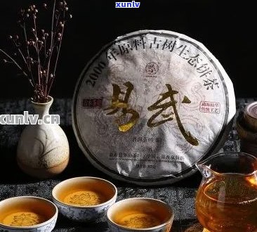 易武普洱茶能泡几年