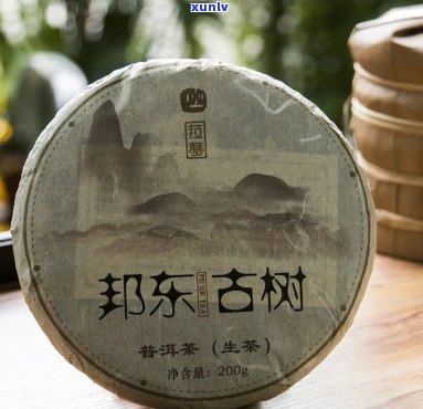 云南普洱茶邦东古树