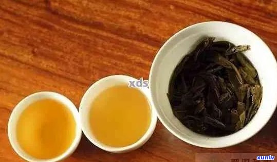 对比分析：格朗与普洱茶各自特色，你更倾向哪一种？