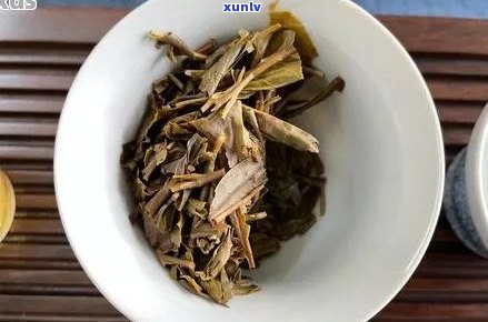 对比分析：格朗与普洱茶各自特色，你更倾向哪一种？