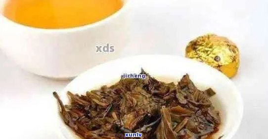 泡普洱茶时能否加入灵芝？为什么？如何正确搭配以达到效果？