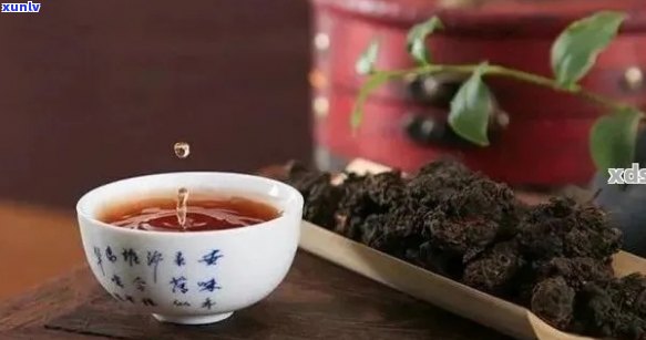 泡普洱茶时能否加入灵芝？为什么？如何正确搭配以达到效果？