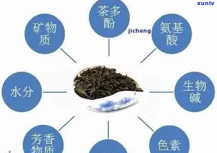 探究普洱茶中的纸质元素及其对茶叶品质的影响