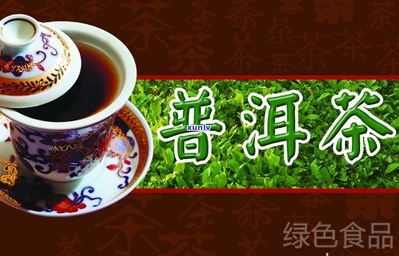 普润请饮中国普洱茶