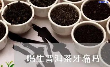 喝普洱茶会牙疼吗：女生喝普洱茶是否导致牙齿疼痛？