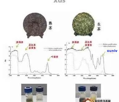 普洱茶中的黄曲霉素：来源、影响与预防措的全面解析