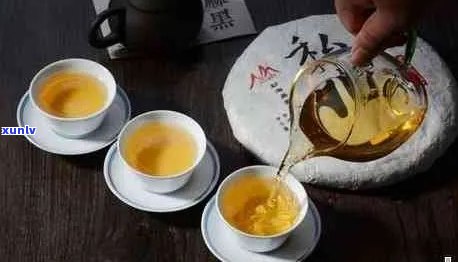 麻黑普洱茶：口感特点、品饮技巧与个人喜好分析，助你找到最适合的普洱茶