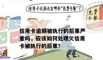 六枝特熟普洱茶价格及购买指南：如何挑选、鉴别和品鉴优质茶叶