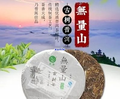 彝凤普洱茶无量山韵：2016年云南无量山古树茶价格及357克多少钱