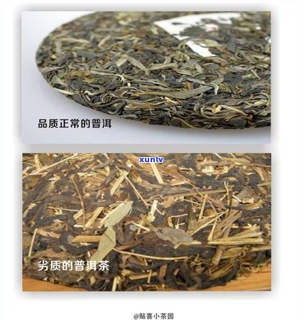 普洱茶梗产生的原因、种类和用途：一篇文章全面解答您的疑惑