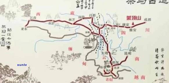 云南普洱茶与茶马古道：历、文化、旅游与品茗的全方位探索