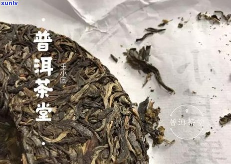 普洱茶里长毛能喝吗？女生可以喝吗？