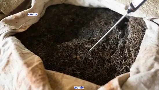 普洱茶的发酵过程及适宜饮用人群，如何正确品尝和保存普洱茶？