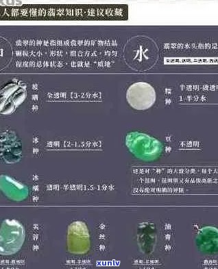 专业翡翠鉴别：权威等级划分详解与实践指南