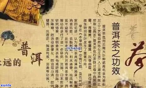 探究普洱茶的七大历典故：传统 *** 工艺与文化精髓的深度解析