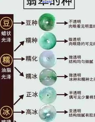 翡翠等级详解：如何鉴别冰润与水润，掌握选购技巧